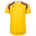 Футболка вратарская Adidas Formotion D86712, прев. 0