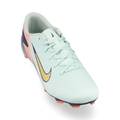 Футбольные бутсы Nike Vapor 16 Academy Mercurial Dream Speed FG/MG FZ1388-300, прев. 2