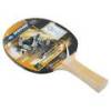 Ракетка для пінг-понгу Donic Legends 150 FSC DT1-705211, прев. 0