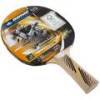 Ракетка для пінг-понгу Donic Legends 300 FSC DT1-705234, прев. 0
