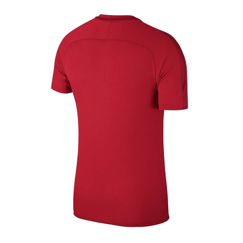 Футболка спортивная детская для тренировок Nike JR Academy 18 T-Shirt 893750-657, рис. 1