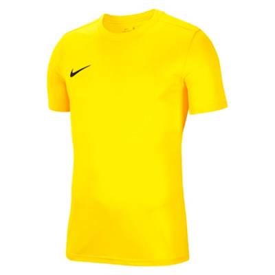 Футболка спортивная игровая Nike Park VII BV6708-719