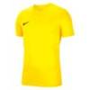 Футболка спортивная игровая Nike Park VII BV6708-719