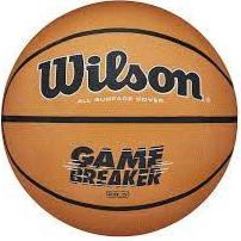 М'яч баскетбольний Wilson GAMBREAKER BSKT OR size 6 DT1-WTB0050XB06, рис. 0