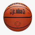 М'яч баскетбольний Wilson JR NBA DRV FAM LOGO BSKT Brow size 7 DT1-WZ3013001XB7, прев. 0