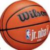 М'яч баскетбольний Wilson JR NBA FAM LOGO AUTH OUTDOOR BSKT size 7 DT1-WZ3011801XB7, прев. 0