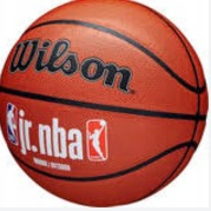 М'яч баскетбольний Wilson JR NBA FAM LOGO INDOOR OUTDOOR size 5 DT1-WZ2009801XB5, рис. 0