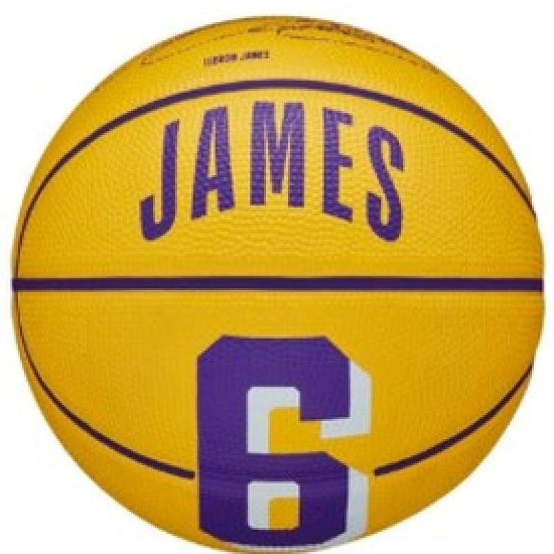 М'яч баскетбольний Wilson NBA PLAYER ICON MINI BSKT LEBRON size 3 DT1-WZ4007201XB3, рис. 0