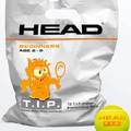 М'ячі для тенісу Head TIP orange polybag 72 balls DT1-578270, прев. 0
