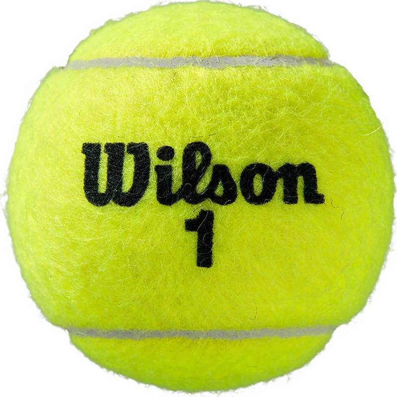 М'ячі для тенісу Wilson ROLAND GARROS ALL CT 4 BALL DT1-WRT116400, рис. 0
