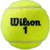 М'ячі для тенісу Wilson ROLAND GARROS ALL CT 4 BALL DT1-WRT116400, прев. 0