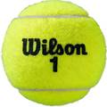 М'ячі для тенісу Wilson ROLAND GARROS ALL CT 4 BALL DT1-WRT116400, прев. 0