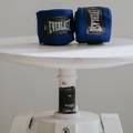 Бинти Everlast CORE HANDWRAPS синій Уні 120 (304,8 см) DT-P00003247, прев. 5
