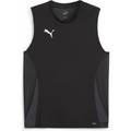 Мужская майка Puma Teamgoal Tanktop F02 705913-03, прев. 0