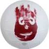 Волейбольный мяч Wilson MR WILSON CASTAWAY SS13 бело-красный WTH4615XDEF, прев. 0