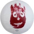 Волейбольний м'яч Wilson MR WILSON CASTAWAY SS13 біло-червоний WTH4615XDEF, прев. 0