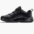 Кросівки Nike AIR MONARCH IV DS-415445-001, прев. 0