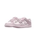 Кросівки Nike DUNK LOW (GS) DS-FB9109-122, прев. 0