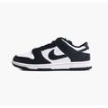 Кросівки Nike DUNK LOW RETRO DS-DD1391-100, прев. 0