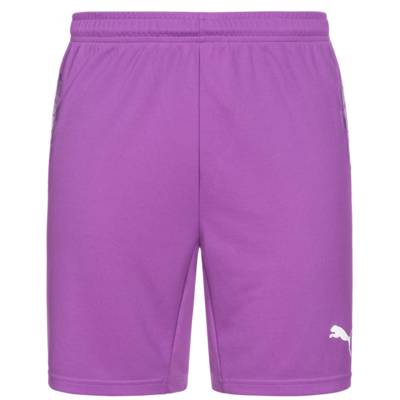 Шорты вратарские Puma 700395-04