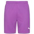 Шорты вратарские Puma 700395-04, прев. 0