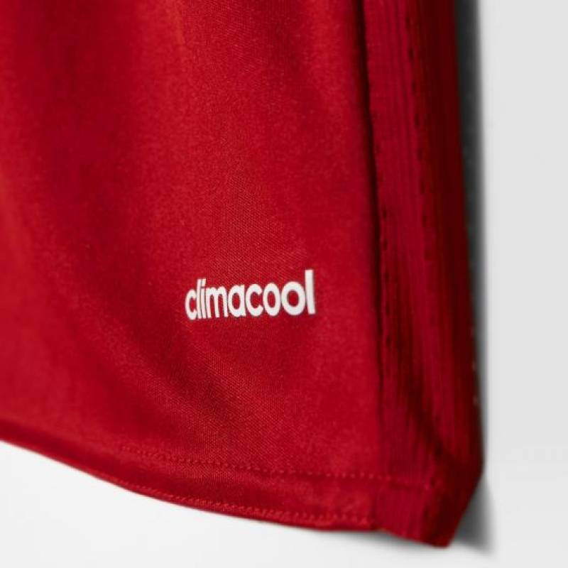 Шорты игровые детские Adidas Regista 16 AP1874, рис. 1