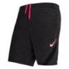 Шорты спортивные детские Nike Academy CK5410-070, прев. 0