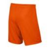 Шорты спортивные детские Nike JR Short Park II Knit 725988-815, прев. 1