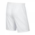 Шорты спортивные игровые детские Nike JR Park II Knit 725988-100, прев. 1