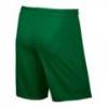 Шорти спортивні ігрові дитячі Nike JR Park II Knit 725988-302, прев. 1