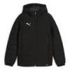 Детская куртка с капюшоном Puma Team Additions 659738-03, прев. 0