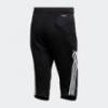 Бриджи вратаря Adidas Tierro FT1456, прев. 3