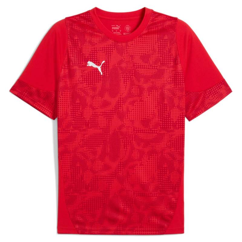 Мужская футболка Puma teamCUP Training Jersey 659167-01, рис. 0
