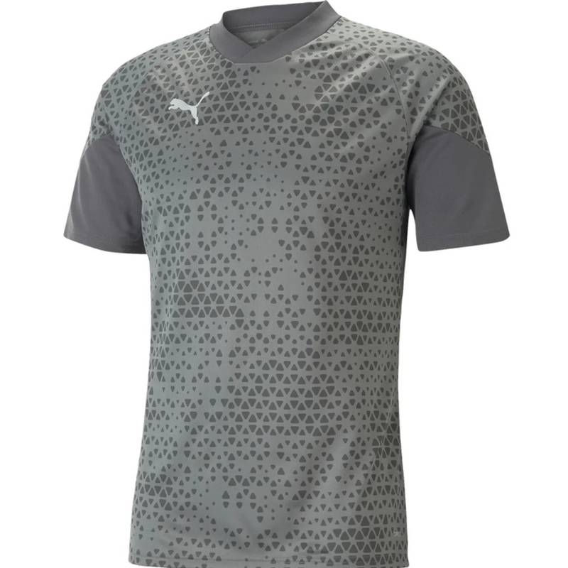 Футболка мужская Puma Jersey Teamcup Trainingsshirt Grey 657984-13, рис. 0