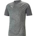 Футболка мужская Puma Jersey Teamcup Trainingsshirt Grey 657984-13, прев. 0