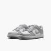 Кросівки Nike DUNK LOW (GS) DS-FB9109-123, прев. 0