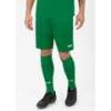 Шорты Manchester 2.0 Jako YS-4400-06, прев. 1