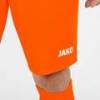 Шорты Manchester 2.0 Jako YS-4400-19, прев. 1