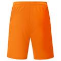Шорты Manchester 2.0 Jako YS-4400-19, прев. 1