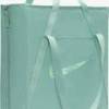 Сумка Nike NK GYM TOTE 28L м'ятний Жін 41 x 33 x 13 см DT-DR7217-017, прев. 1