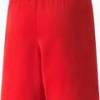 Шорти Puma teamRISE Short Jr червоний Діт 116 см DT-704943-01, прев. 1