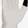 Рукавиці Nike JORDAN M LG FLEECE LT OREWOOD білий Чол L DT-J.100.8818.118.LG, прев. 1