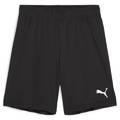 Детские шорты Puma Team Goal 705753-03, прев. 0