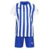 Детский футбольный комплект PUMA Mini Kit 772745-01, прев. 0