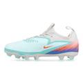 Футбольні дитячі бутси Nike Phantom 6 Low Academy FG/MG IH2195-300, прев. 1