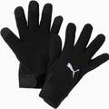 Рукавички Puma teamLIGA 21 Winter gloves чорний Уні L/XL DT-041706-01, прев. 0