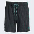 Шорты Liverpool FC Terrace Icons Adidas JW8005, прев. 5