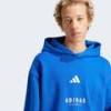 Худи ALL SZN Fleece Graphic Adidas JJ3667, прев. 3