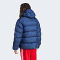 Пуховик Tonal Hooded Adidas IY3397, прев. 1