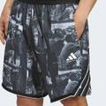 Шорты Crazy Lite AOP Adidas JN2460, прев. 3